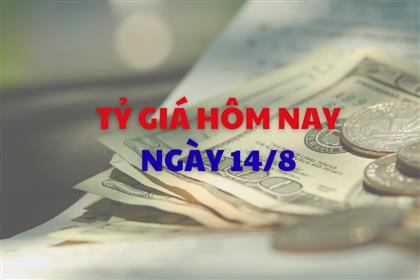 Tỷ giá hôm nay 14/8: Tỷ giá trung tâm quay đầu giảm nhẹ