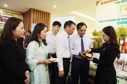 Kết nối sản xuất, tiêu thụ, xây dựng hệ sinh thái sầu riêng bền vững Kết nối sản xuất, tiêu thụ, xây dựng hệ sinh thái sầu riêng bền vững