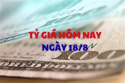 Tỷ giá hôm nay 18/8: USD tiếp tục đi lên