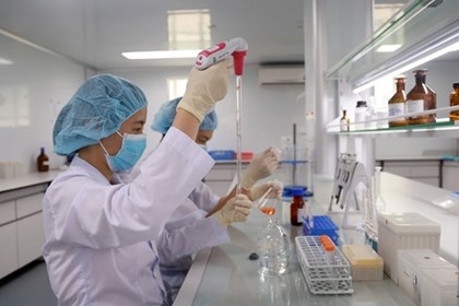 Khánh Hòa lập mạng lưới 300 chuyên gia, mở đường bứt phá