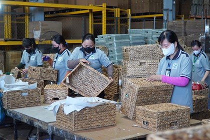 Đồng Tháp đồng hành, tạo không gian phát triển cho doanh nghiệp