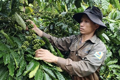 Lâm Đồng biến lợi thế đất đai thành giá trị nông nghiệp Lâm Đồng biến lợi thế đất đai thành giá trị nông nghiệp