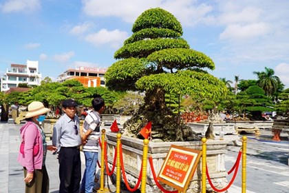 “Xanh quê ngày trở về” - Nơi hội tụ những tác phẩm sinh vật cảnh độc đáo