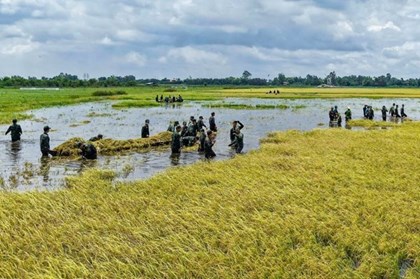 Tây Ninh gia cố lá chắn trước mùa lũ Đồng Tháp Mười Tây Ninh gia cố lá chắn trước mùa lũ Đồng Tháp Mười