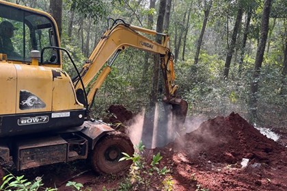 TP. Hồ Chí Minh khoanh vùng xử lý ổ dịch tả lợn châu Phi tại xã Xuân Sơn