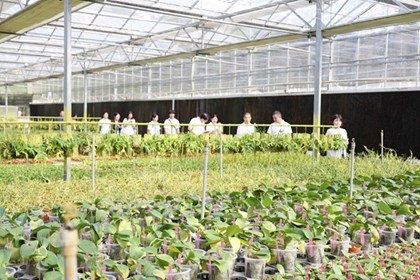 Triển vọng hợp tác giữa Việt Nam và Trung Quốc về ứng dụng công nghệ cao trong nông nghiệp