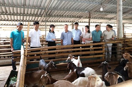 Đề án “3 cây, 3 con” mở hướng nâng giá trị nông nghiệp