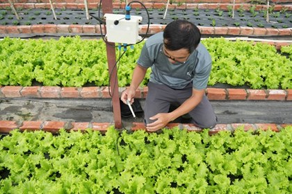 Nông nghiệp thông minh giúp nhà vườn Đà Lạt giảm 70% nhân công và chi phí