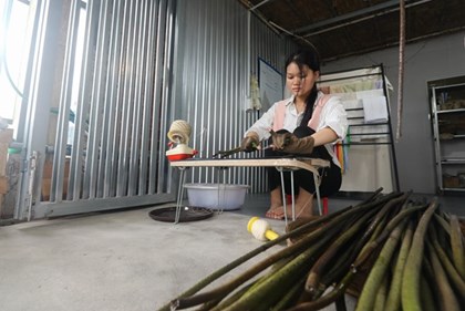 Từ sợi tơ sen, dệt nên câu chuyện mới ở Đồng Tháp