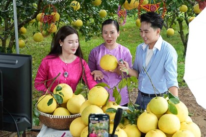 Đưa sản phẩm OCOP vươn xa trên nền tảng số Đưa sản phẩm OCOP vươn xa trên nền tảng số
