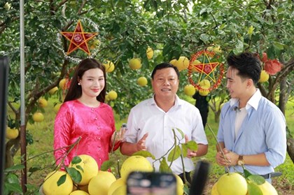 Nền tảng số mở đường cho đặc sản Hà Tĩnh vươn xa Nền tảng số mở đường cho đặc sản Hà Tĩnh vươn xa