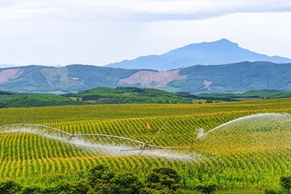 Doanh nghiệp tiên phong phát triển kinh tế tuần hoàn