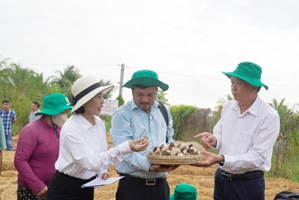 An Giang biến phụ phẩm rơm rạ thành chuỗi giá trị nông nghiệp xanh