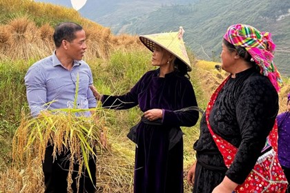 Nâng tầm gạo đặc sản từ giống lúa bản địa nơi cực Bắc Tổ quốc