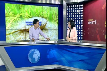 XÂY DỰNG THƯƠNG HIỆU CHO HẠT GẠO VIỆT NAM