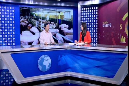 Mạnh tay xử lý chất cấm trong chăn nuôi