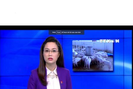 Cảnh báo: Việt Nam chưa có tên trong danh sách xuất thịt lợn vào Trung Quốc