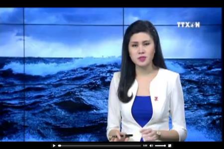 Rùng mình về sự tàn phá đại dương 