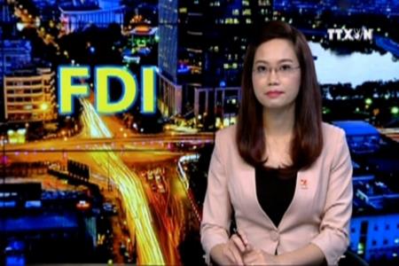 Tăng trưởng vốn FDI và quyền lựa chọn dự án đầu tư