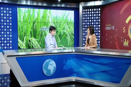 Hướng đi nào cho gạo xuất khẩu của Việt Nam?