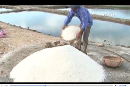 Chính sách tạm trữ muối chưa đến với diêm dân