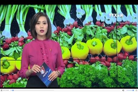 Việt Nam chưa ban hành được tiêu chuẩn và quy chuẩn về sản phẩm hữu cơ