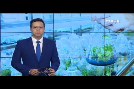 Mất bản quyền nhiều nguồn gen do chậm đăng ký bảo hộ