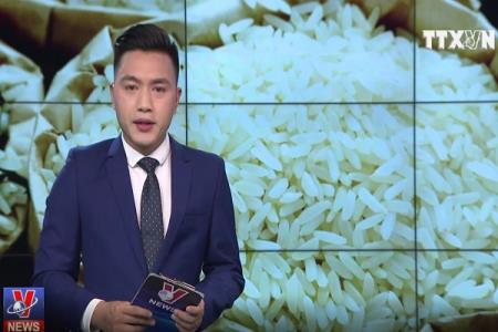 Gạo Việt Nam – Bài học từ Thái Lan