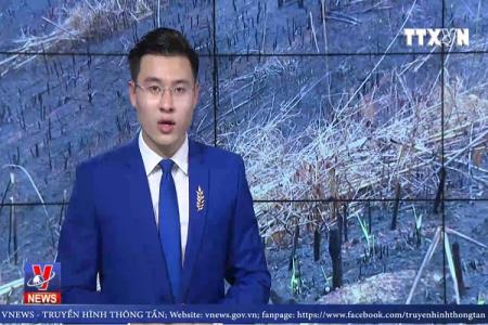 Ngang nhiên hủy hoại hàng chục hecta rừng tại Đắk Nông