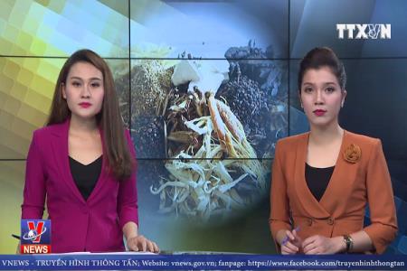 Chất lượng dược liệu đang bị thả nổi