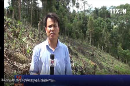 Phá rừng đặc dụng nghiêm trọng ở Điện Biên