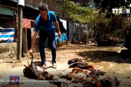 Đình chỉ hoạt động cơ sở rò rỉ khí amoniac trong khu dân cư