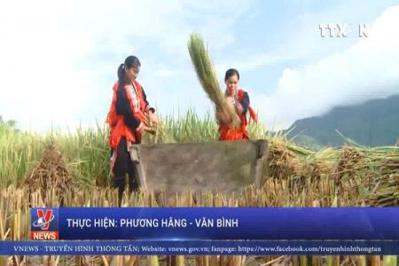 Homestay ở “Thiên đường ruộng bậc thang và mùa lúa chín”