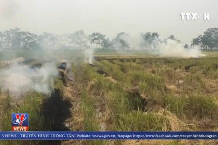 Ô nhiễm từ thói quen đốt rơm rạ