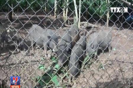 Khởi nghiệp với Nông nghiệp thuận tự nhiên