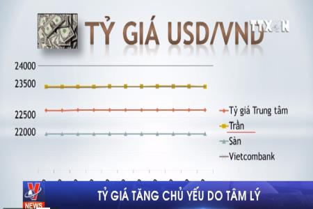 Tỷ giá tăng chủ yếu do tâm lý