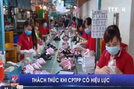 Thách thức khi CPTPP có hiệu lực