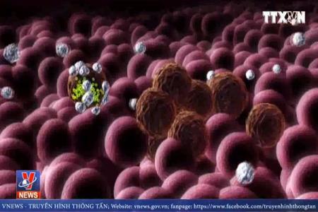 Chế tạo thành công loại virus diệt tế bào ung thư