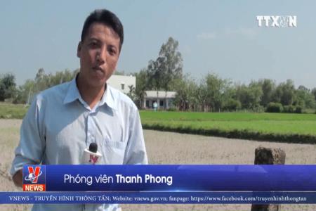 Làng quê “dậy sóng” vì cò đất