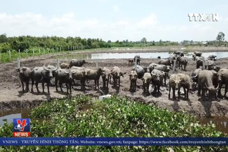 Bao giờ dân hết khổ vì quy hoạch “treo”