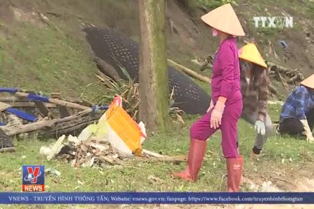 Thách thức môi trường du lịch biển Cô Tô