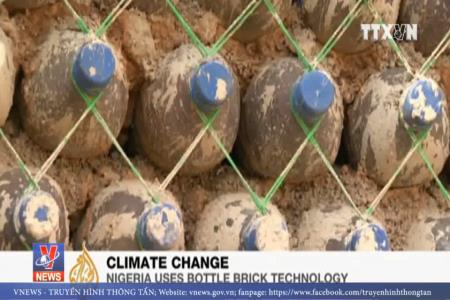 Các dự án gạch sinh thái trên thế giới