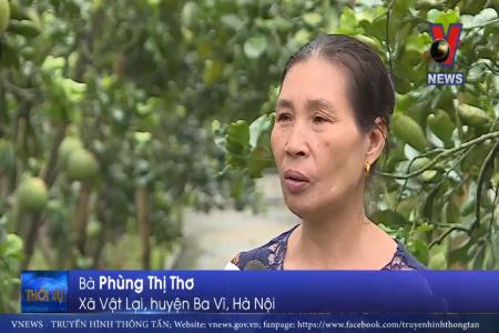 Người nông dân biến đất cằn thành trang trại tiền tỷ