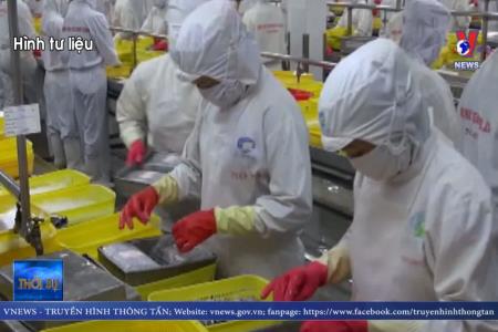 Tôm Việt Nam bị từ chối nhập vào Mỹ hiện đã nhiều hơn năm 2018