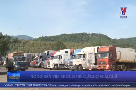 Nông sản Việt không thể cứ chờ giải cứu
