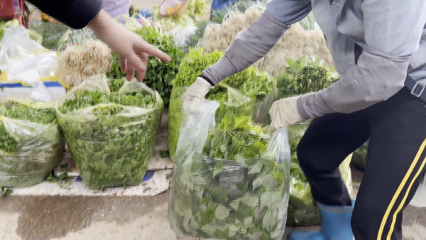 Giá rau củ quả ở chợ đầu mối nông sản Sông Hồng có rẻ nhất nước?