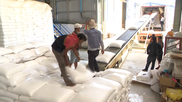 Thái Lan triển khai các biện pháp nhằm nâng giá gạo