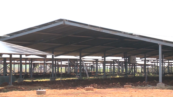 Điện tái tạo tự dùng dư thừa được bán tối đa 10% công suất