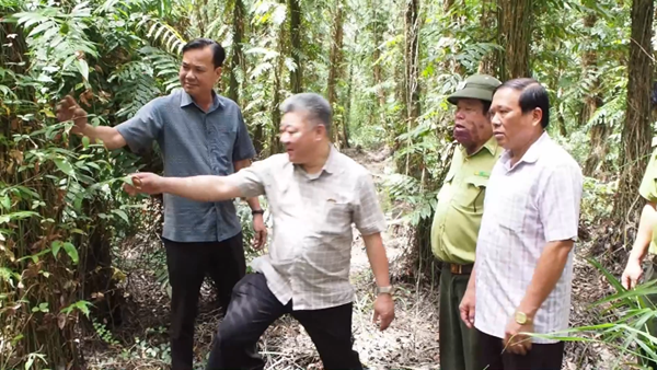 Hơn 17.540 ha rừng ở Cà Mau có nguy cơ bị cháy