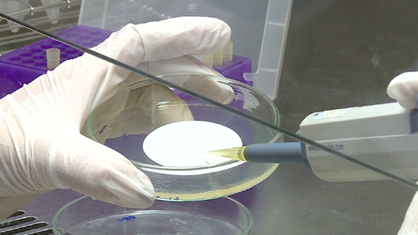 Nghiên cứu giảm thuế thu nhập cho nhân lực công nghệ cao